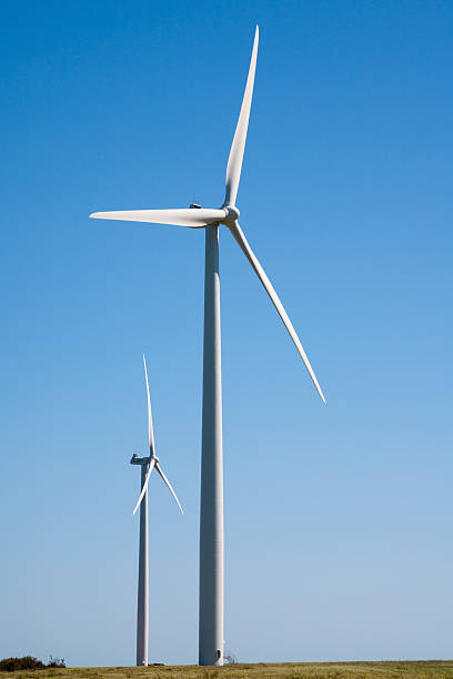 istock Windfarm in Western Australia 91786017