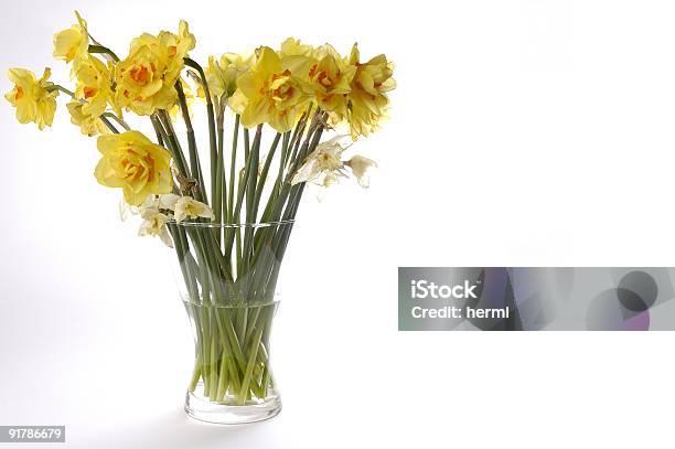 Punhado De Flores Amarelas Em Boião De Vidro Jonquil Narciso - Fotografias de stock e mais imagens de Abril