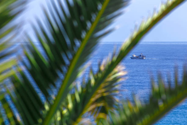 Palm tree and ship at the sea. Travel concept.