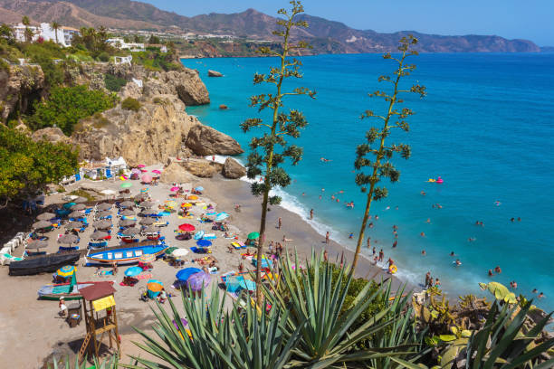 istock View of people relax on beach 917873702