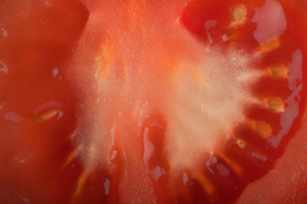 istock Abstract and art tomato slice detail 917874098