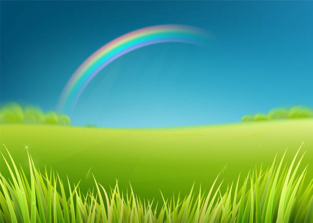 비 후 무지개와 여름 초원 필드입니다. 푸른 잔디와 자연 배경 - rain sun sunlight cloud stock illustrations