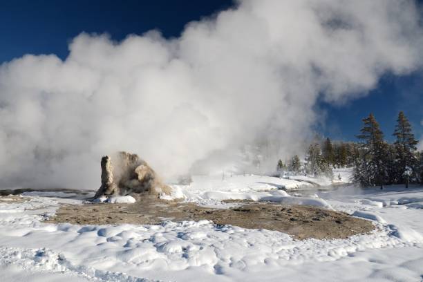 istock Giant Geyser in the Upper Geyser Basin in Winter. 917881104