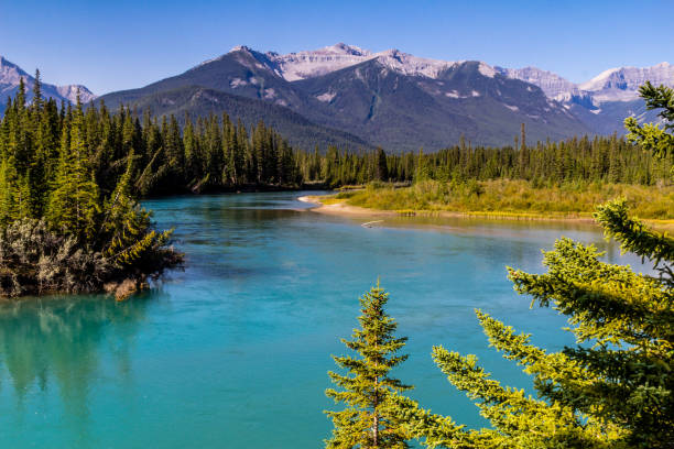 istock Along the Bow River, Banff National Park, Alberta, Canada 917881568