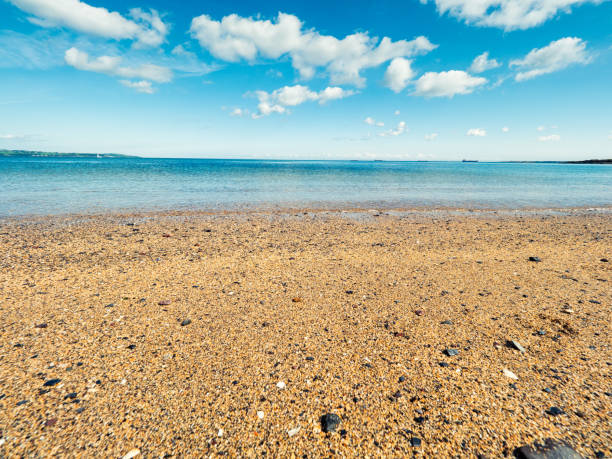 istock summer east coastline,Northern Ireland 917882138