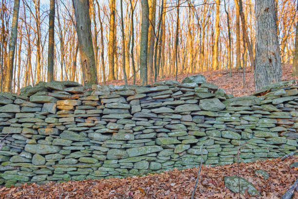 Natural gray stones are piled up to define the edge of a field in an old farm. The natural rocks from the land are stored away from the field and at the same time making a line between the different owners of the land.