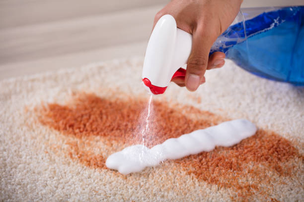 istock Janitor Using Spray Bottle For Cleaning Stain On Carpet 917885548