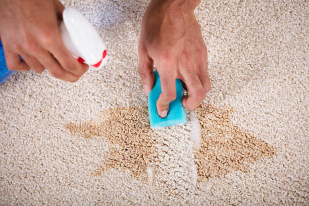 istock Janitor Cleaning Stain On Carpet 917885558