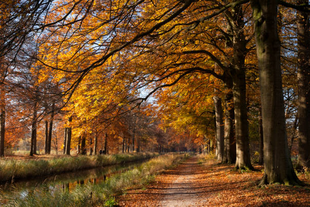 Gran Canal near the Dutch village Renswoude surrounded by autumn colored trees