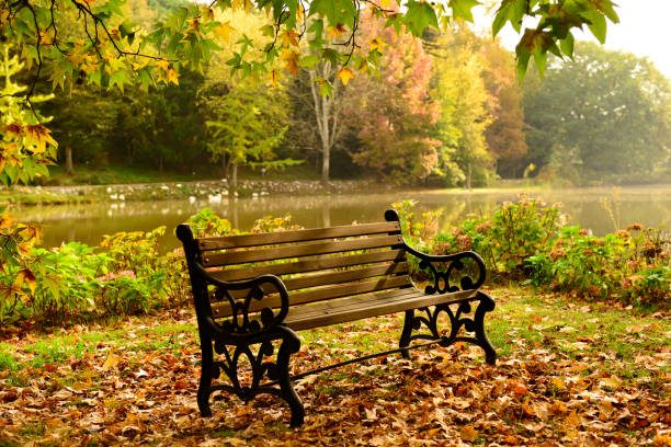 istock bank in nature 917889390