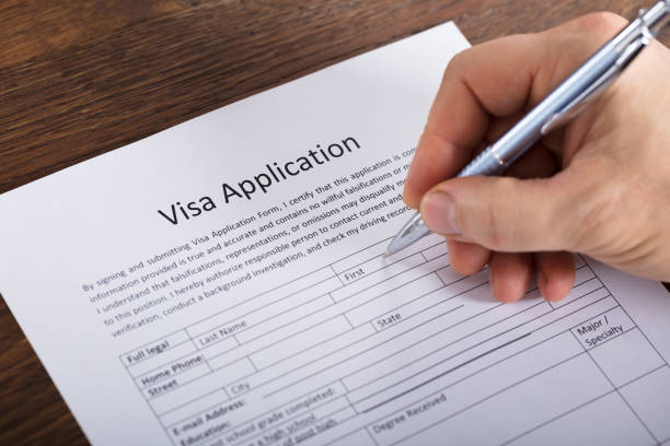 istock Person Filling Visa Application Form 917891882