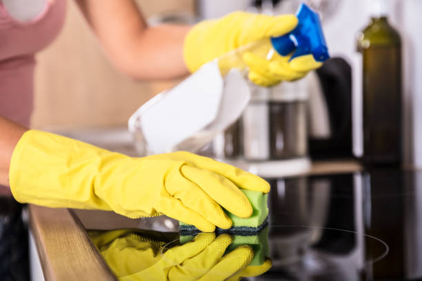 istock Person Hands Cleaning Induction Stove In Kitchen 917892628