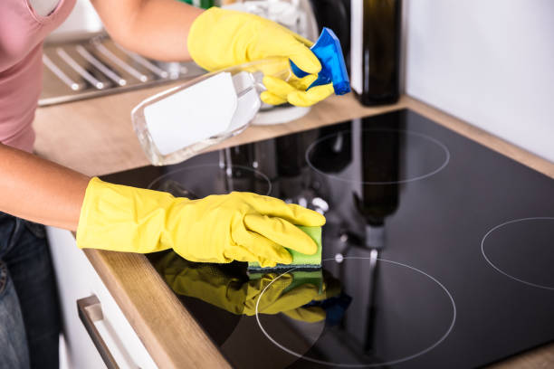 istock Person Hands Cleaning Induction Stove In Kitchen 917892630