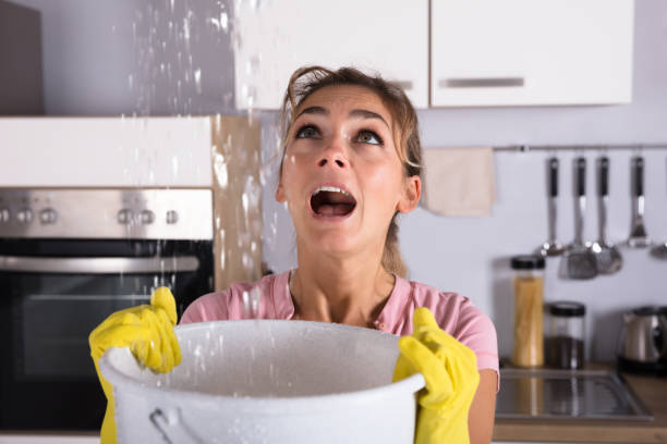 istock Woman Holding A Bucket While Water Droplets Leak From Ceiling 917892688