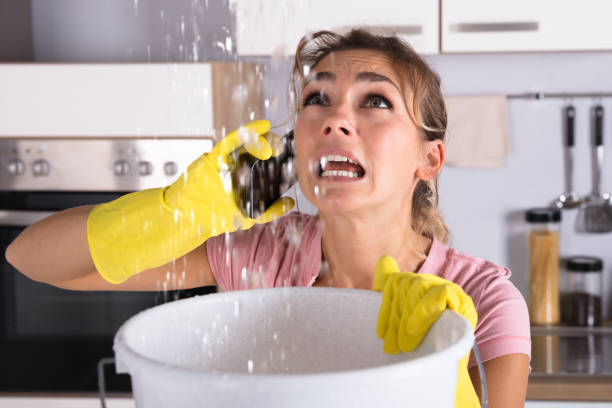 woman calling plumber to fix water leaking from ceiling - home damage imagens e fotografias de stock