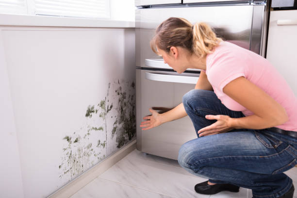 istock Shocked Woman Looking At Mold On Wall 917892706