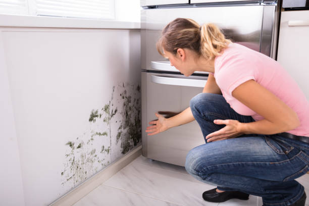 Shocked Woman Looking At Mold On Wall Close-up Of A Shocked Woman Looking At Mold On Wall cleaning stove domestic kitchen human hand stock pictures, royalty-free photos & images