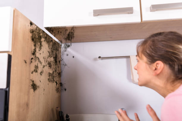 istock Shocked Woman Looking At Mold On Wall 917892716