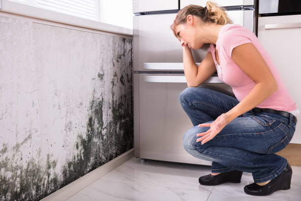 Shocked Woman Looking At Mold On Wall Close-up Of A Shocked Woman Looking At Mold On Wall fungal mold stock pictures, royalty-free photos & images