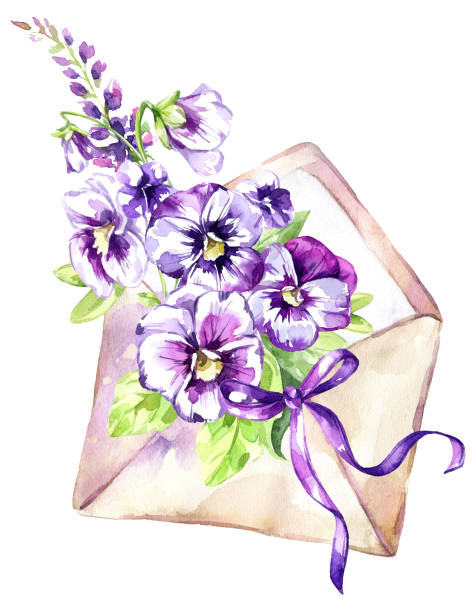 ilustrações de stock, clip art, desenhos animados e ícones de watercolor illustration. ancient envelope with a bouquet of pansies and a bow antique objects. spring collection in violet shades. clipart, diy, scrapbooking elements - antique old fashioned illustration and painting ancient