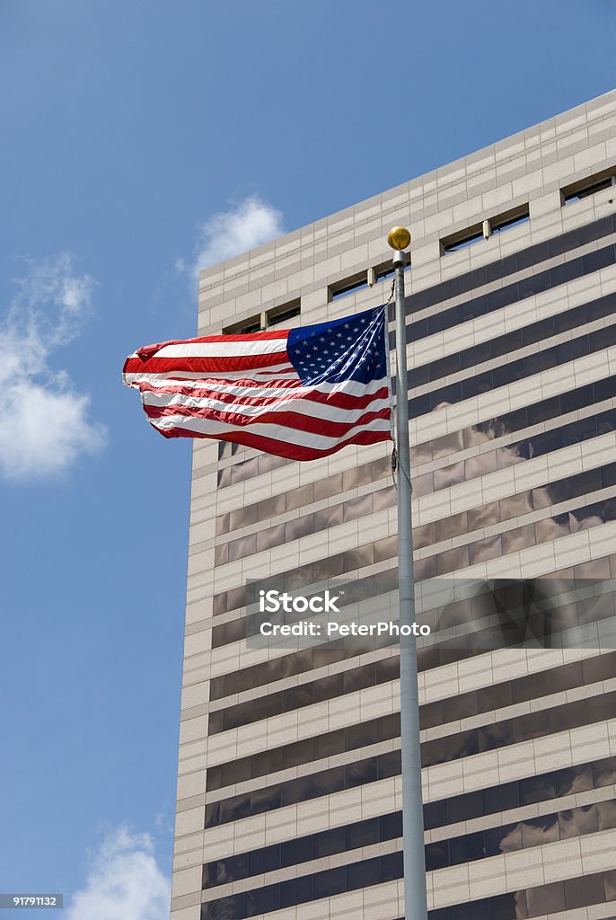 Edifício Federal com Bandeira dos Estados Unidos da América - Royalty-free Edifício Federal Foto de stock