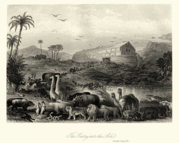 zwierzęta wchodzące do arki noego, genesis - ark stock illustrations