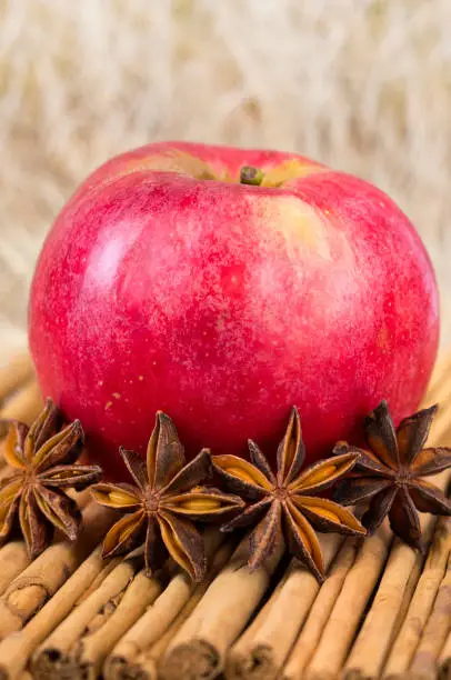 A fresh ripe apple and cinnamon sticks with star anise on the straw rustic background.