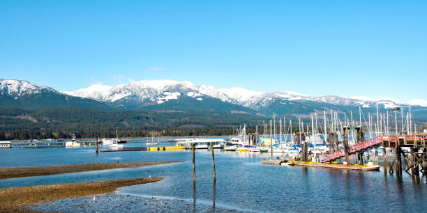 istock Panorama Vancouver Island with small ocean marina 917922572