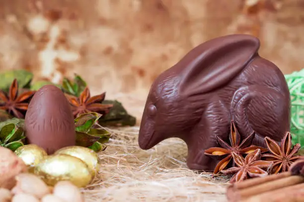 Chocolate Easter bilby against a brown background. Australian Easter concept.