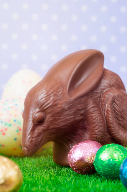 Chocolate bilby stock photo