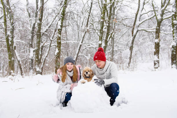 istock Happy couple with cocker spaniel making snowman 917923150