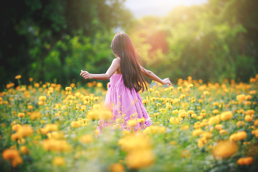 Little asian girl in flower fields, Outdoor portrait