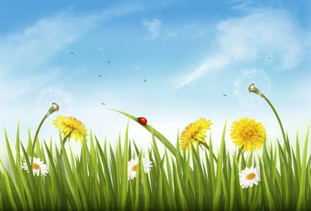 Vector illustration of Nature background with green grass, flowers and a butterfly. Vector.