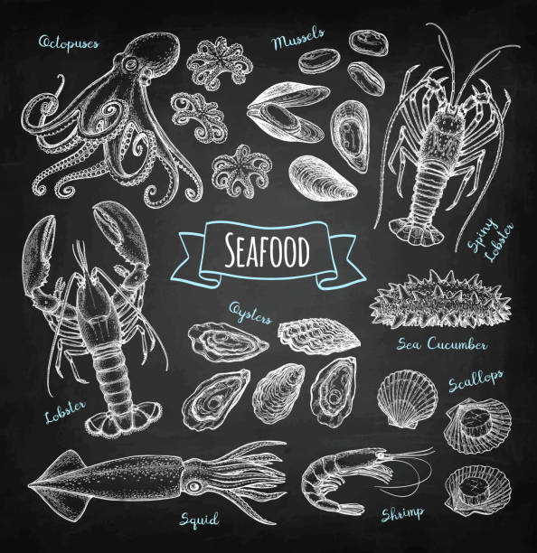 チョーク スケッチ (魚介類) - lobster点のイラスト素材／クリップアート素材／マンガ素材／アイコン素材