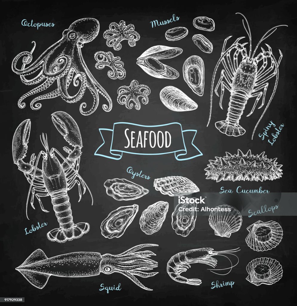 Seafood chalk sketch Seafood big set. Chalk sketch on blackboard background. Hand drawn vector illustration. Retro style. Seafood stock vector