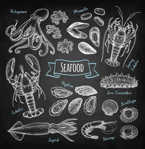 Seafood chalk sketch Seafood big set. Chalk sketch on blackboard background. Hand drawn vector illustration. Retro style. seafood stock illustrations