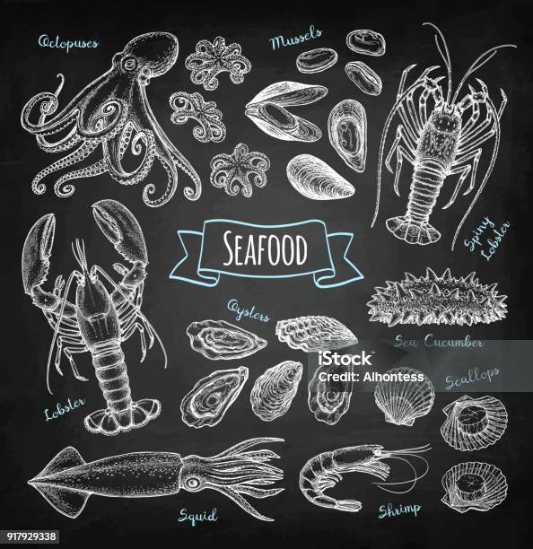 Seafood Chalk Sketch Stock Illustration - Download Image Now - Seafood, Illustration, Chalk Drawing