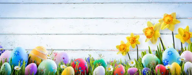 Easter Eggs And Flower And Wooden Background