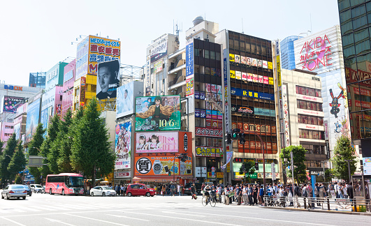 Large group of pedestrians in the Akihabara District of Tokyo the capital of Japan.