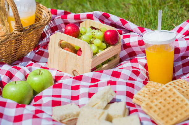 istock Great concept of pic-nic 917938126