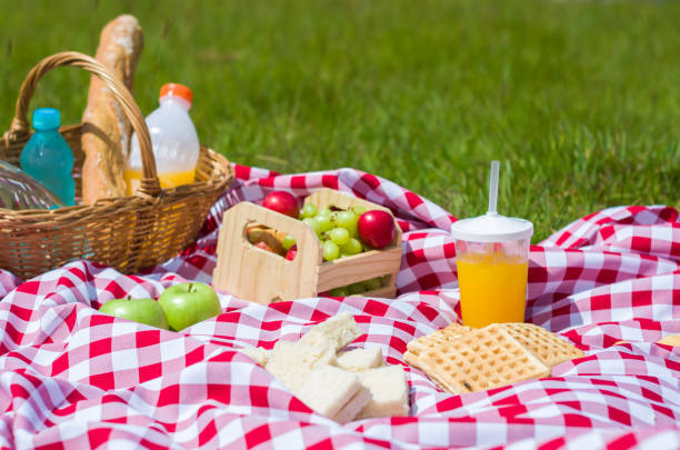 istock Great concept of pic-nic 917940302