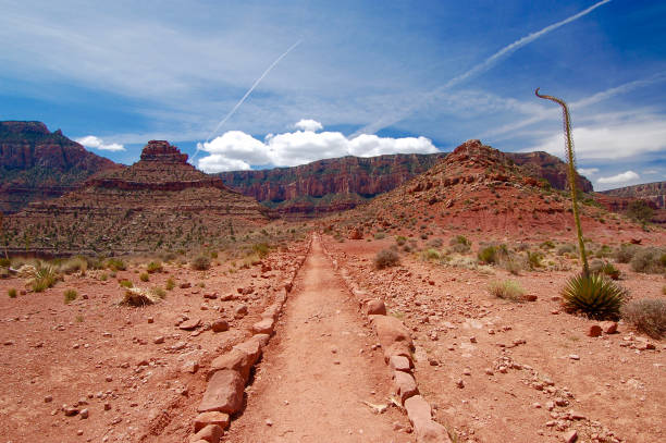 The Trail Ahead stock photo