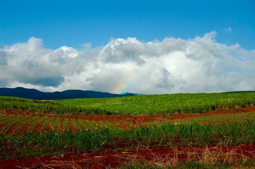 Hawaii, USA - August 7, 2006: Rainbow in Cloudscape Over Farm Crops