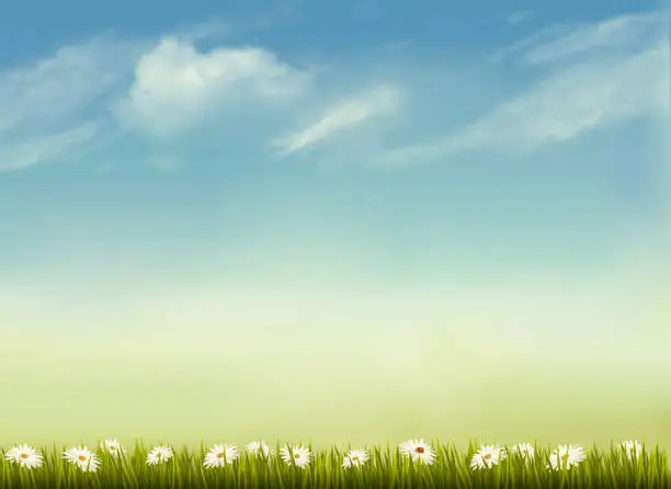 Vector illustration of Retro nature background with green grass and sky . Vector.