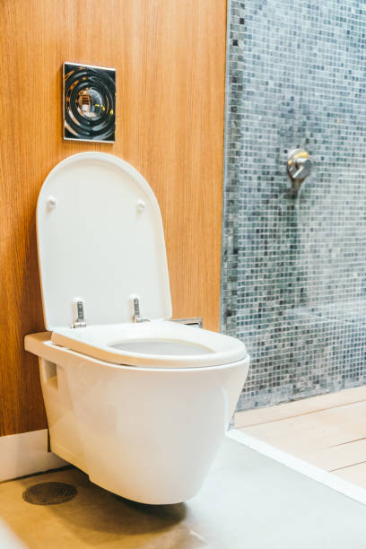 istock White toilet bowl seat 917943998