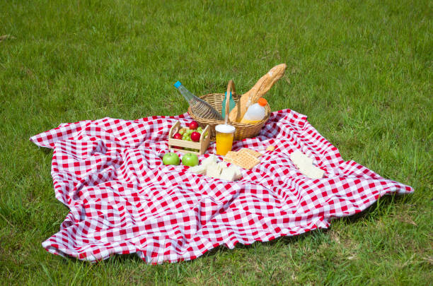 istock Great concept of pic-nic 917944778