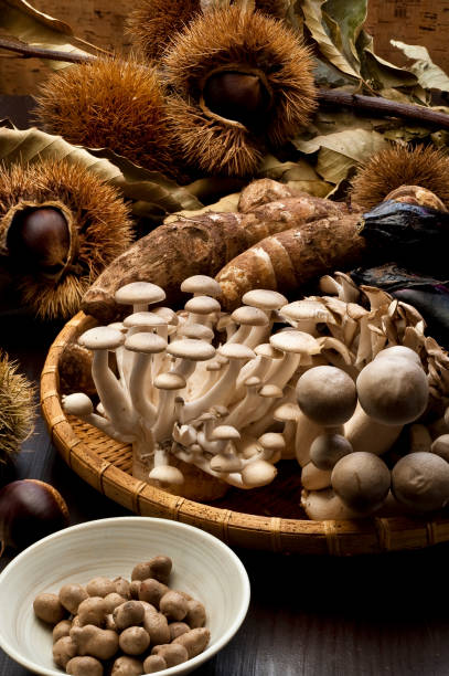 istock Taste of autumn in Japan 917947368