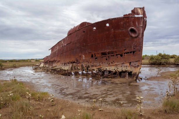 istock Ship Wreck, Mutton Cove, Port Adelaide, SA 917947538