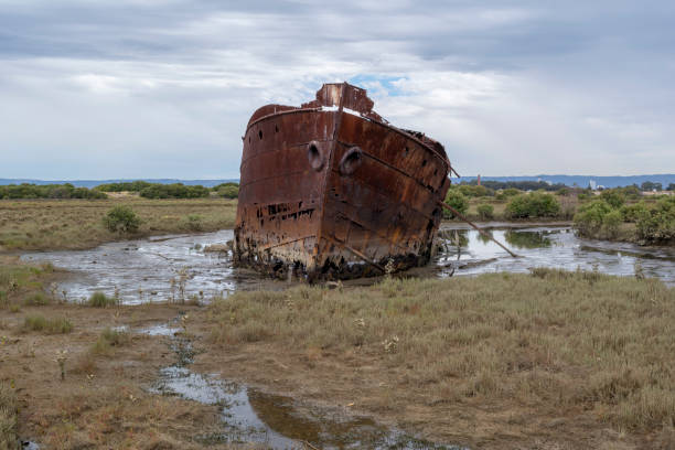 istock Ship Wreck, Mutton Cove, Port Adelaide, SA 917947562