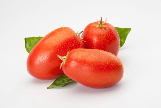 pomodori prugna - plum tomato immagine foto e immagini stock